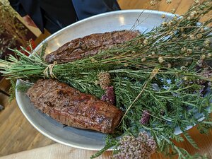 20230728_PXL2115348813.MP_Pixel7a-JEB